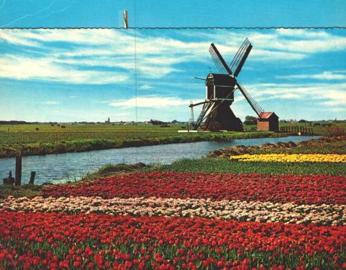 LOT.1 » KARTPOSTAL - HOLLANDA
