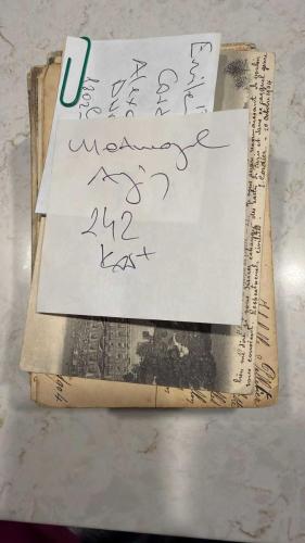 Posta kartı Koleksiyonu Matmazel Aziz ,Esat Paşa kızı Anadolu hisarı Yalısına Kartlar 242 adet şahane durumda