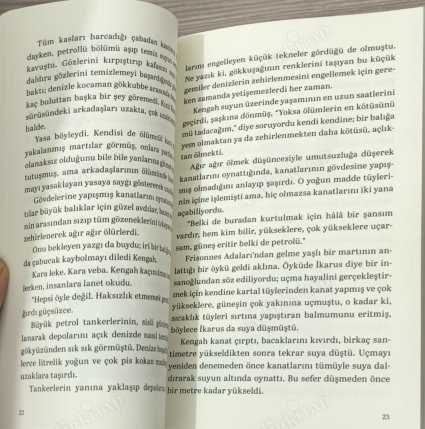 Martıya Uçmayı Öğreten Kedi