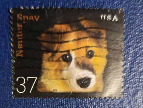 Amerika Damgalı pul