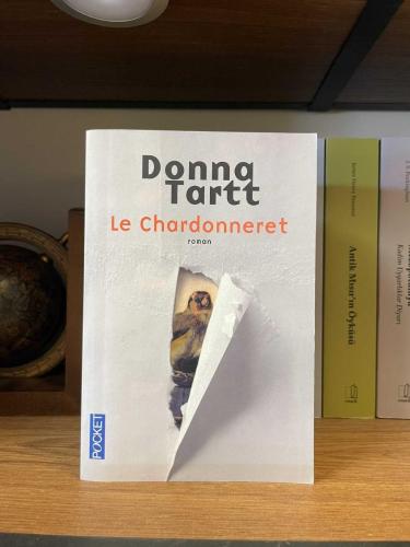 Le Chardonneret - Donna Tartt - Français - Pocket
