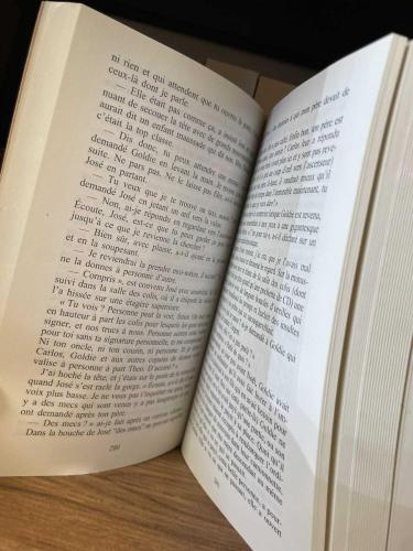 Le Chardonneret - Donna Tartt - Français - Pocket