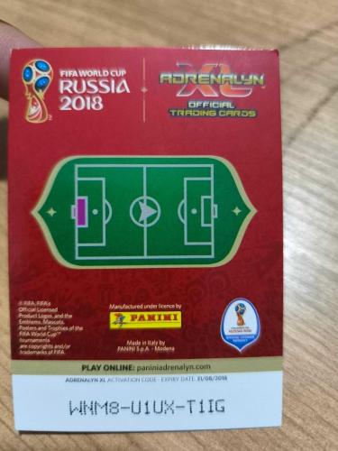 PANİNİ COLLECTOR'S FIFA WORLD CUP RUSSIA 2018 IGOR AKINFEEV 280