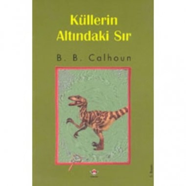 KÜLLERİN ALTINDAKİ SIR