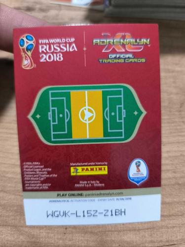 PANİNİ COLLECTOR'S FIFA WORLD CUP RUSSIA 2018 SEBASTİAN RUDY 166
