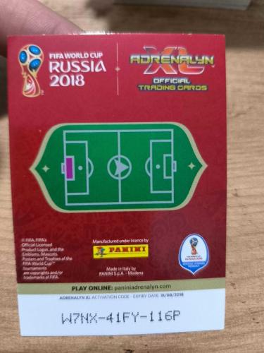 PANİNİ COLLECTOR'S FIFA WORLD CUP RUSSIA 2018 IGOR AKINFEEV 280