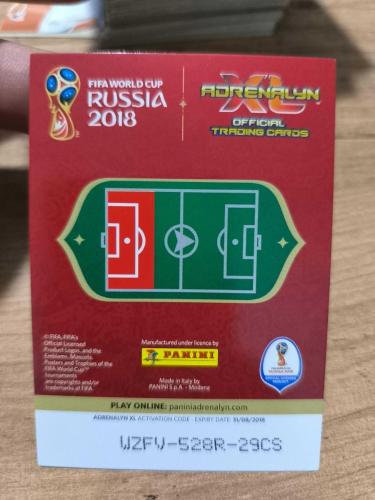 PANİNİ COLLECTOR'S FIFA WORLD CUP RUSSIA 2018 BRANISLAV IVANOVIĆ 308