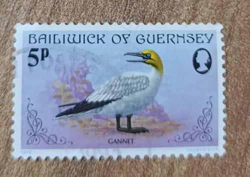 Guersney _ damgalı pul
