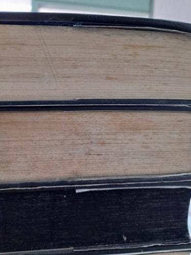 Ada Serisi Set (3 Kitap Takım Ciltli-Şömizli/ Ada- Ada Yanıyor-Ada Sırlar Çözülüyor)