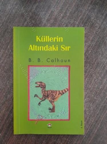 Küllerin Altındaki Sır