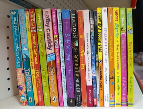 20 ADET İNGİLİZE ÇOCUK VE GENÇLİK KİTAPLARI LOTU - 2