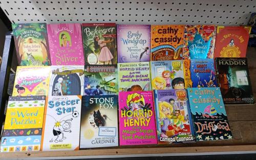 20 ADET İNGİLİZE ÇOCUK VE GENÇLİK KİTAPLARI LOTU - 2