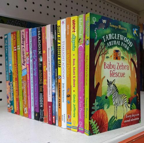 20 ADET İNGİLİZE ÇOCUK VE GENÇLİK KİTAPLARI LOTU - 1