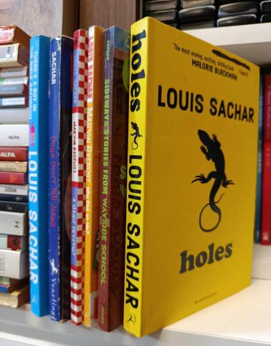 6 ADET İNGİLİZCE LOUIS SACHAR KİTAPLARI LOTU