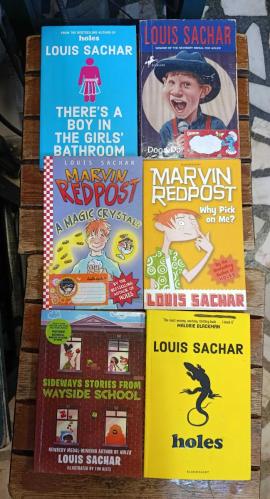 6 ADET İNGİLİZCE LOUIS SACHAR KİTAPLARI LOTU