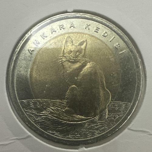 Ankara Kedisi, 1 Lira 2015. Çil. Karton Kapamasında.