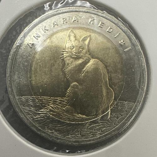 Ankara Kedisi, 1 Lira 2015. Çil. Karton Kapamasında.