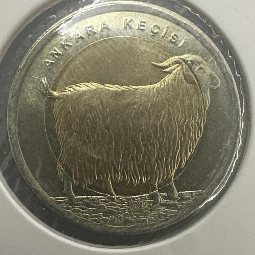 Ankara Keçisi, 1 Lira 2015. Çil. Karton Kapamasında.