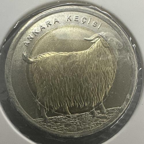 Ankara Keçisi, 1 Lira 2015. Çil. Karton Kapamasında.