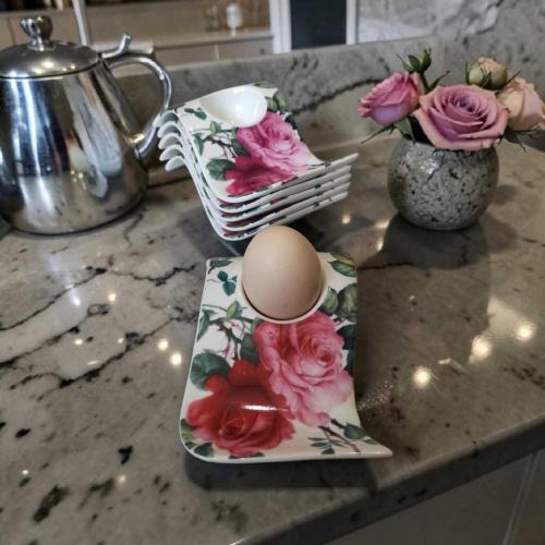 vintage Tefland ''SAM & SQUITO güllü porselen sunum ve yumurtalık seti 6 parça