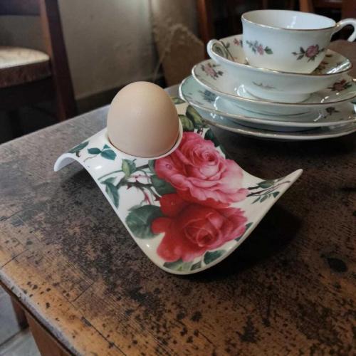 vintage Tefland ''SAM & SQUITO güllü porselen sunum ve yumurtalık seti 6 parça