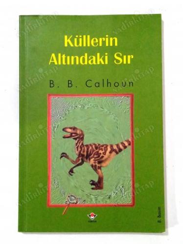 Küllerin Altındaki Sır