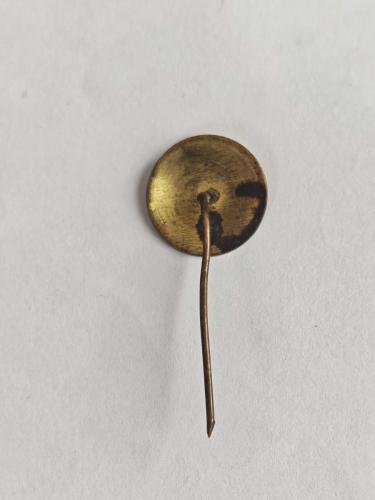 Vintage Fenerbahçe Rozeti