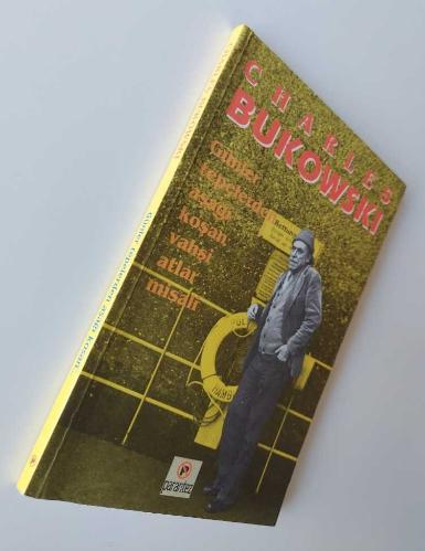 GÜNLER TEPELERDEN AŞAĞI KOŞAN VAHŞİ ATLAR MİSALİ