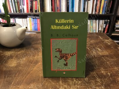 KÜLLERİN ALTINDAKİ SIR