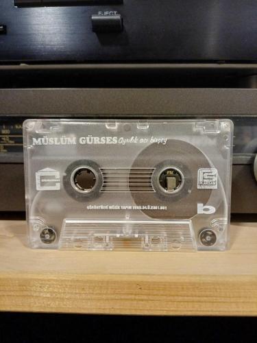 MÜSLÜM GÜRSES AYRILIK ACI BİRŞEY