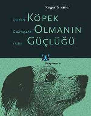 Köpek Olmanın Güçlüğü