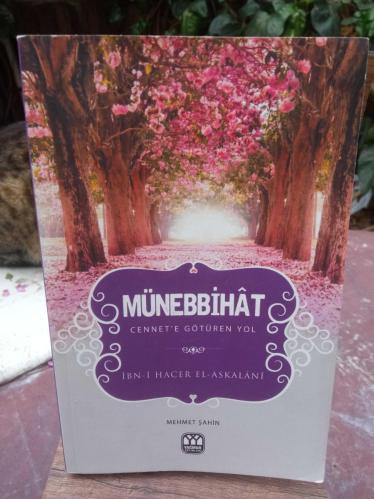 CENNET YOLUNUN İŞARETLERİ ( MÜNEBBİHAT)