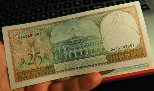 1985 SURİNAME 25 GULDEN ÇİL
