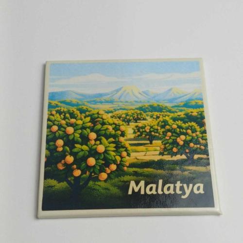 Türkiye Malatya – Kayısı Bahçeleri – Baskılı Buzdolap Magneti Kare 9x9 cm