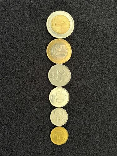 2005 YILI YTL MADENİ ÇİL/ÇA TAM SET
