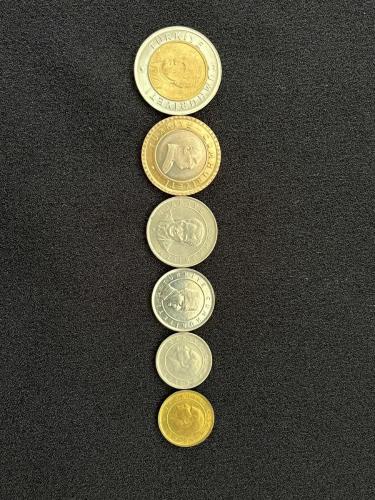 2005 YILI YTL MADENİ ÇİL/ÇA TAM SET