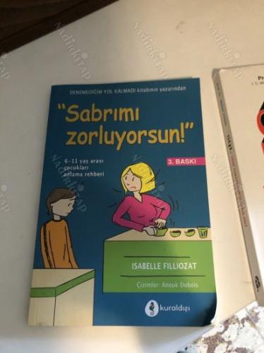 Sabrımı Zorluyorsun! 6 - 11 Yaş Arası Çocukları Anlama Rehberi