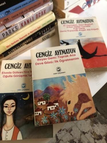 ELVEDA GÜLSARI / YÜZ YÜZE / CEMİLE / OĞULLA GÖRÜŞME / ASKERİN OĞLU / BEYAZ GEMİ- TOPRAK ANA-DEVE GÖZÜ- İLK ÖĞRETMENİM-AL YAZMALIM SELVİ BOYLUM-3 KİTAP