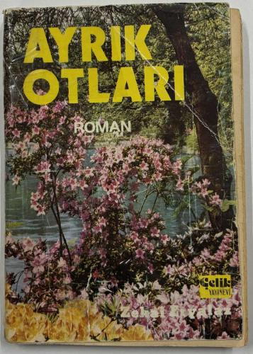 Ayrık Otları
