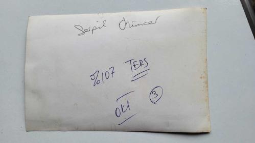 OYUNCU ve SES SANATÇISI SERPİL ÖRÜMCER'İN ORİJİNAL AJANS-BASIN FOTOĞRAFI - 18 x 12 cm EBADINDA - SERPİL ÖRÜMCER, BİKİNİLİ OLARAK ÇİMLERE OTURUP POZ VERİRKEN ÇEKİLMİŞ BİR KARE