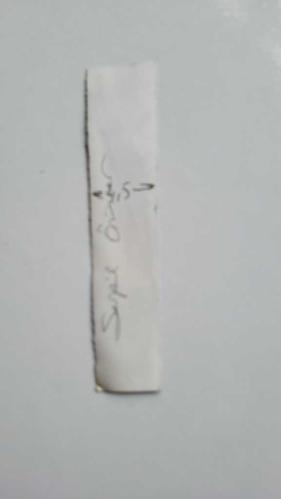 OYUNCU ve SES SANATÇISI SERPİL ÖRÜMCER'İN ORİJİNAL KÜÇÜK BOY FOTOĞRAFI - 13 x 3 cm EBADINDA - SERPİL ÖRÜMCER, GÜZELLİK YARIŞMASINDAYKEN