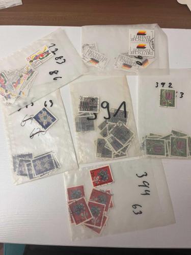 LOT.6 » Alman pulları lotu