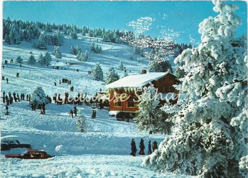 Yeşil Bursa - Uludağ, Beceren Otel ve Umumi Görünüş / Keskin Color