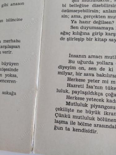 Japon Gülü