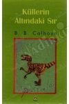 KÜLLERİN ALTINDAKİ SIR