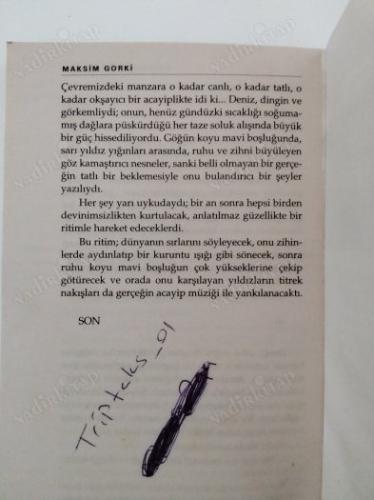 FIRTINANIN HABERCİSİ