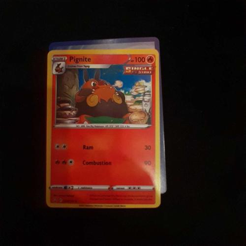 Pokemon Pignite Kart