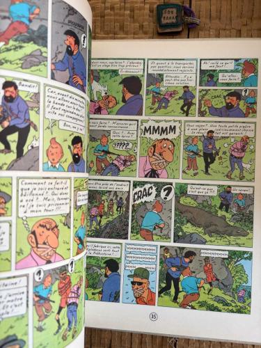 Les Aventures TINTIN: Vol 714 Pour Sydney / Ciltli - Hardcover