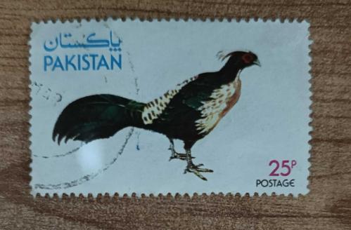 Pakistan _ damgalı pul