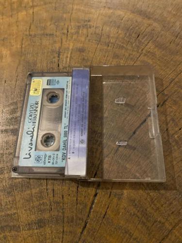 ZÜLFÜ LİVANELİ - GÖKYÜZÜ HERKESİNDİR - KASET